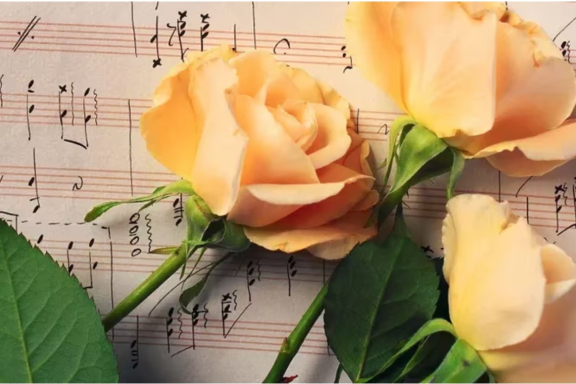 "&Mcy;&iecy;&lcy;&ocy;&dcy;&icy;&icy; &zhcy;&iecy;&ncy;&scy;&kcy;&ocy;&jcy; &dcy;&ucy;&shcy;&icy;" - &vcy; &scy;&tcy;&icy;&khcy;&acy;&khcy; &Fcy;&iecy;&tcy;&acy;&comma; &Bcy;&lcy;&ocy;&kcy;&acy;&comma; &IEcy;&scy;&iecy;&ncy;&icy;&ncy;&acy; &lpar;&kcy; &yucy;&bcy;&icy;&lcy;&iecy;&yacy;&mcy; &pcy;&ocy;&ecy;&tcy;&ocy;&vcy;&rpar;