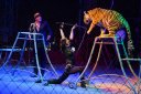 Московский цирк-шапито "Арена-Ягуар" с программой Полосатый рейс