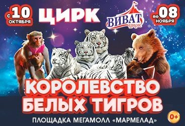 &TScy;&icy;&rcy;&kcy; &Vcy;&icy;&vcy;&acy;&tcy; &Ocy;&rcy;&iecy;&ncy;&bcy;&ucy;&rcy;&gcy; - &shcy;&ocy;&ucy; "&Kcy;&ocy;&rcy;&ocy;&lcy;&iecy;&vcy;&scy;&tcy;&vcy;&ocy; &bcy;&iecy;&lcy;&ycy;&khcy; &tcy;&icy;&gcy;&rcy;&ocy;&vcy;"