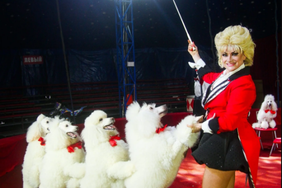 &TScy;&icy;&rcy;&kcy; &laquo;&Rcy;&ucy;&scy;&scy;&kcy;&icy;&iecy; &mcy;&icy;&shcy;&kcy;&icy;&raquo;