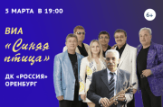 ВИА Синяя птица