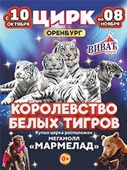 &TScy;&icy;&rcy;&kcy; &Vcy;&icy;&vcy;&acy;&tcy; &Ocy;&rcy;&iecy;&ncy;&bcy;&ucy;&rcy;&gcy; - &shcy;&ocy;&ucy; "&Kcy;&ocy;&rcy;&ocy;&lcy;&iecy;&vcy;&scy;&tcy;&vcy;&ocy; &bcy;&iecy;&lcy;&ycy;&khcy; &tcy;&icy;&gcy;&rcy;&ocy;&vcy;"